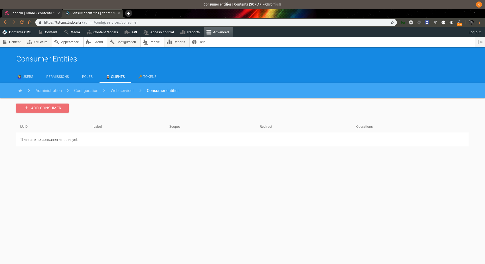 Screeenshot of add consumer configuration page