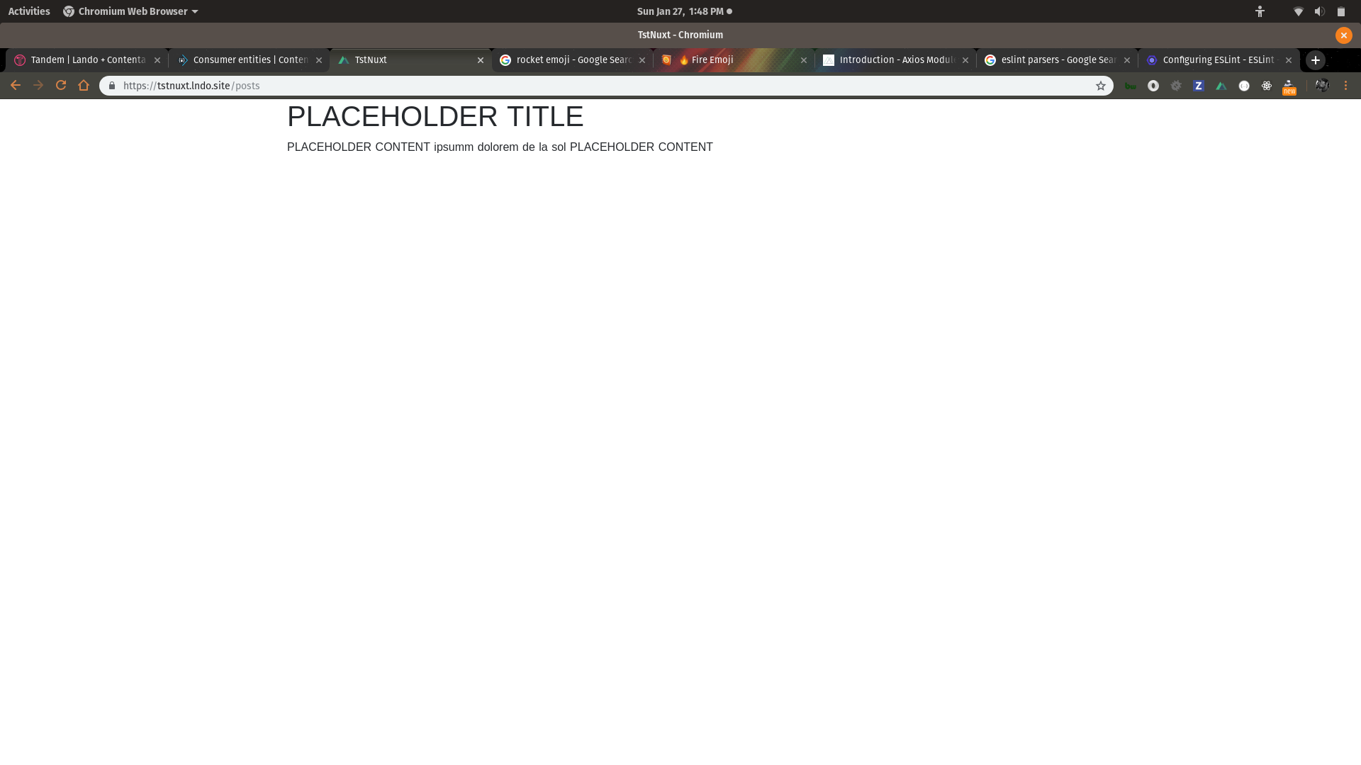 Screeenshot of nuxt app with placeholder data